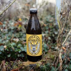 Wettemarkt Gold Hell</br>20x0,33l</br>zzgl. Pfand